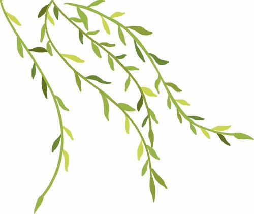 今年南寧人的歌來(lái)了 邕江組曲系列音樂(lè)電視作品上線(xiàn)發(fā)布 活動(dòng)回顧