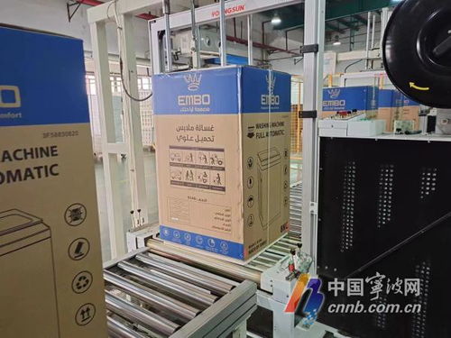 甬 抱 金磚 寧波進出口企業再迎貿易利好