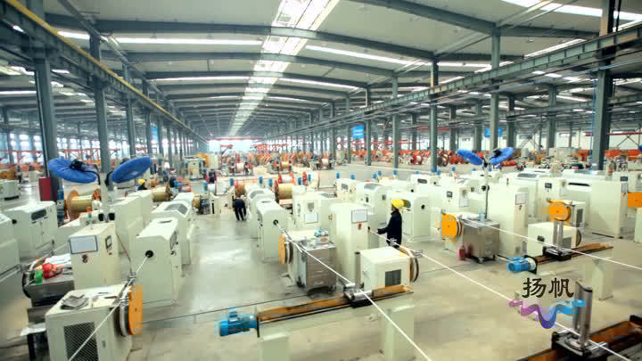 寶應 以高效農業為基，以產業集群為翼，繪就新時代發展壯麗圖景